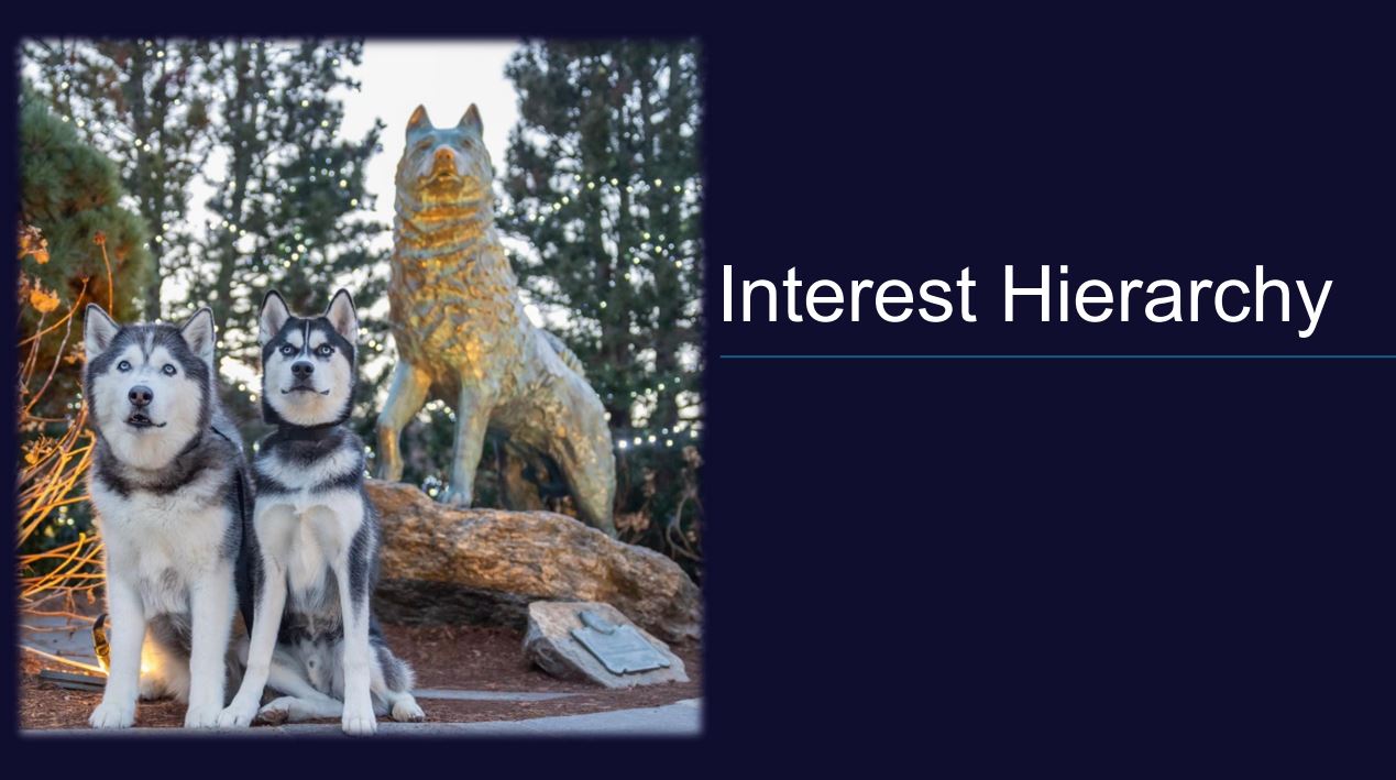 Interest Hierarchy-Advancing beyond traditional segmenting and reporting