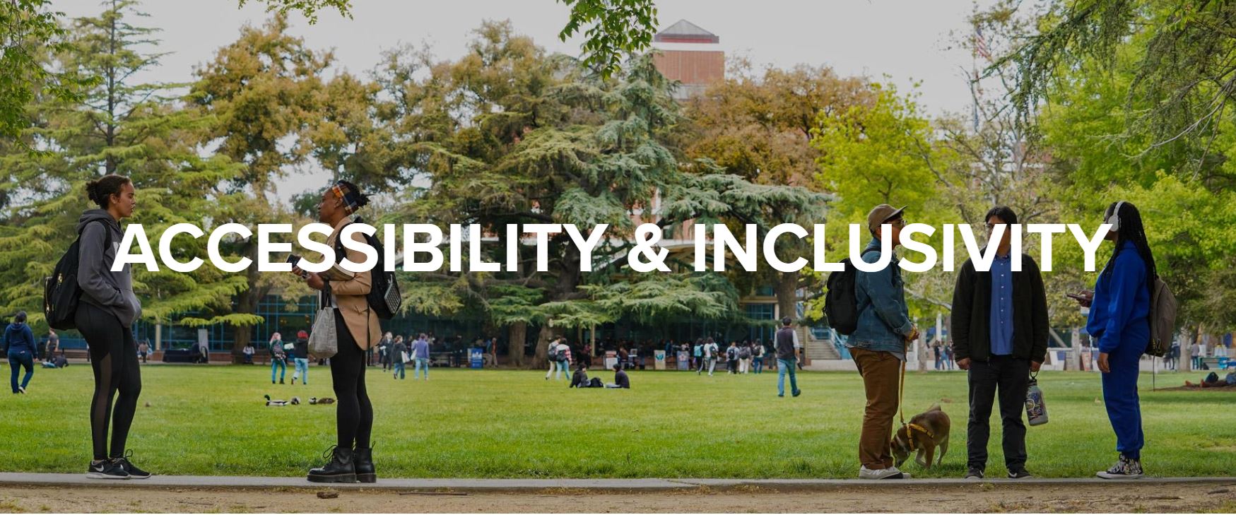 Accessibility and Inclusivity Guide for UC Davis Communicators