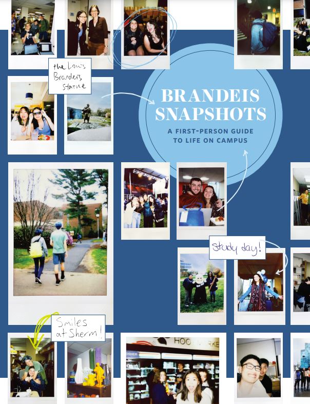 Brandeis Undergraduate Viewbook