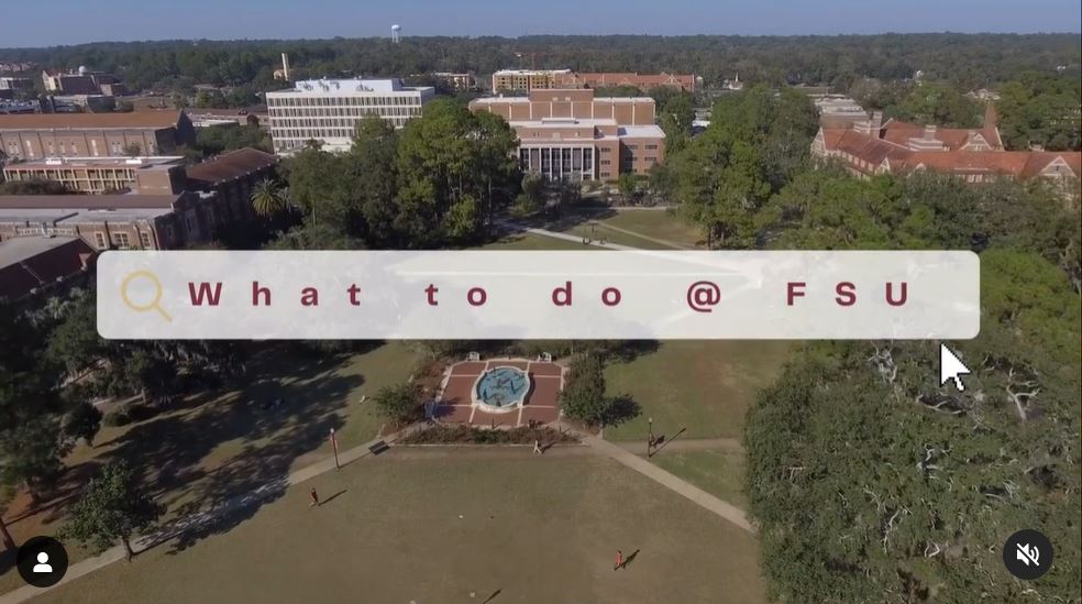 "What to do at FSU" -- Looking at unique Student Organizations