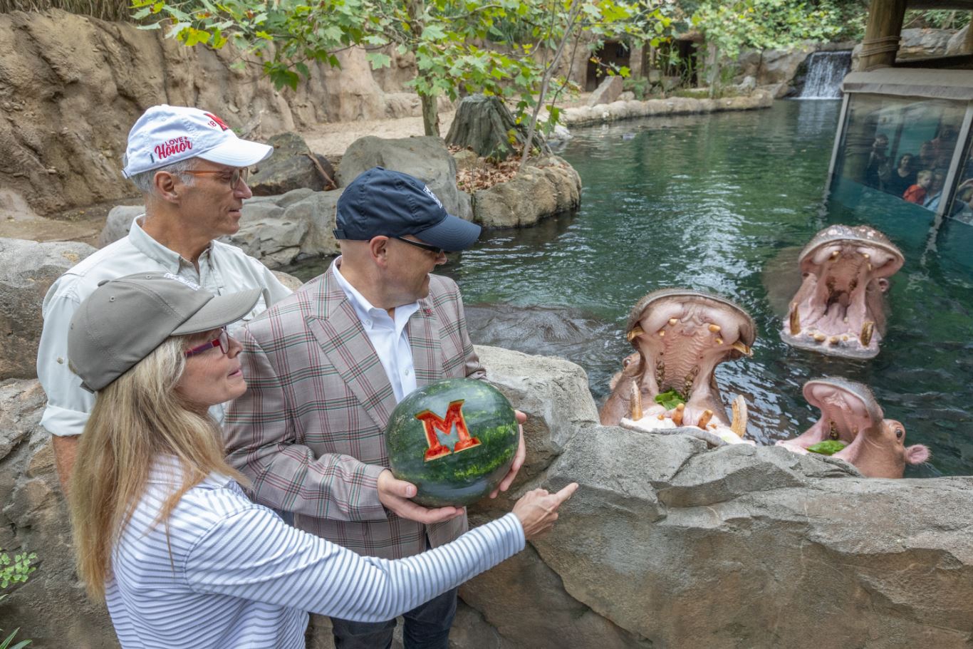 When Hippo Met Watermelon: Miami University's Viral Moment Wins Hearts