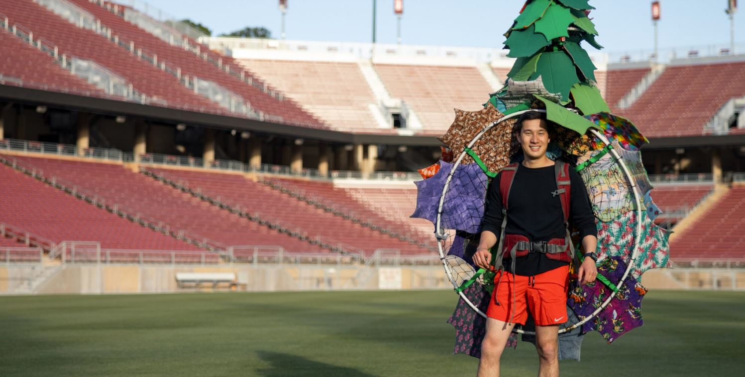 Meet the 43rd Stanford Tree