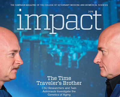 Impact: The Campaign Magazine of the College of Veterinary Medicine and Biomedical Sciences