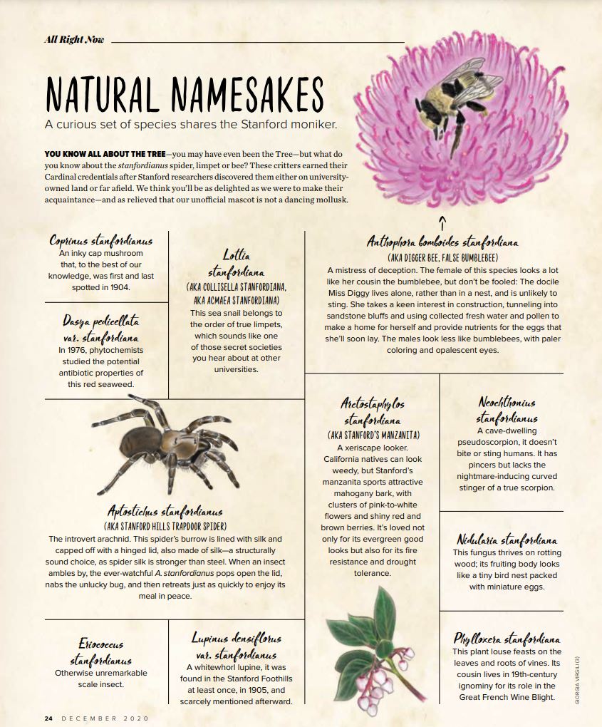 “Natural Namesakes: Species with the Stanford Moniker”