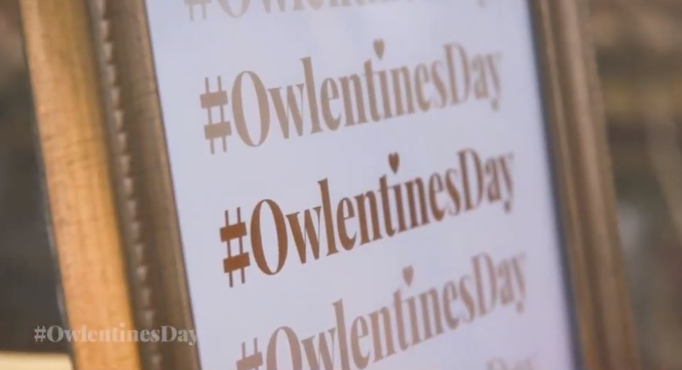 Owlentine’s Day: Capitalizing on Holiday Trends through Social Media