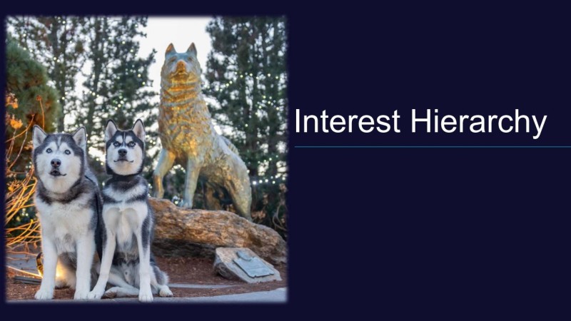 Interest Hierarchy-Advancing beyond traditional segmenting and reporting
