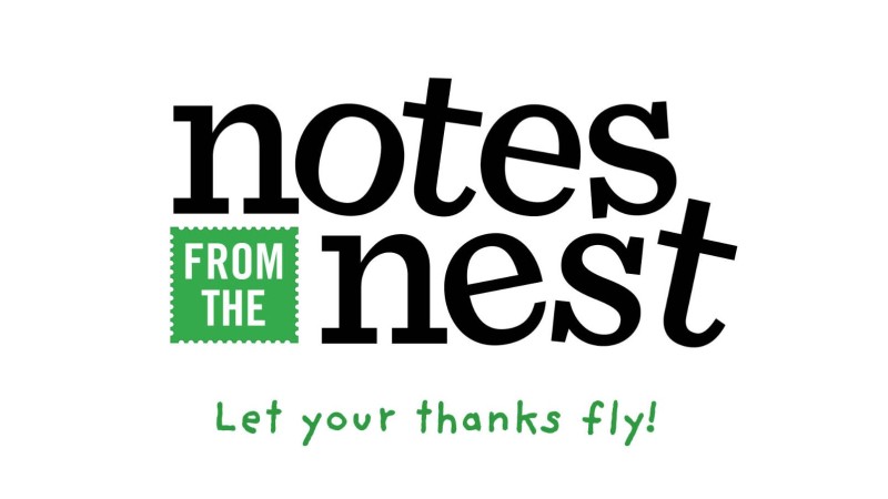 Notes from the Nest