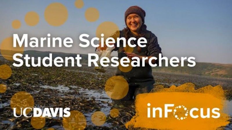 A Day in the Life of Marine Science Student Researchers