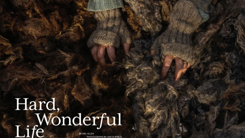 Hard, Wonderful Life: Bowdoin Magazine Winter 2023 Profile