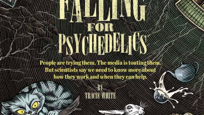 Falling for Psychedelics