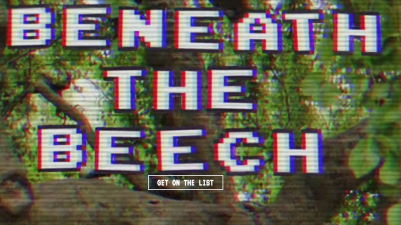 Beneath the Beech