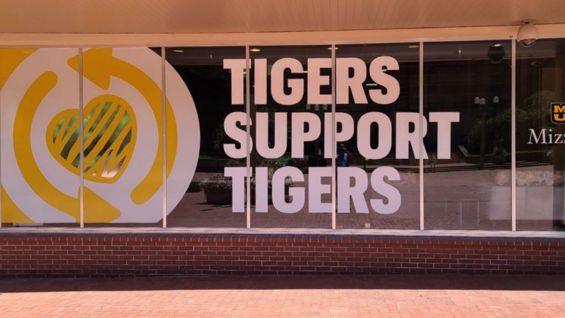 Tigers Support Tigers