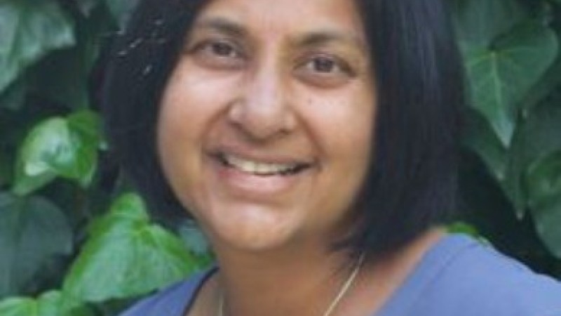 Headshot of Vidya Kagan